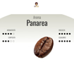 Picture of NESPRESSO PANAREA X 100 CAPSULES